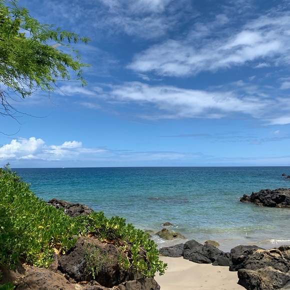 Meet your Posher, appleroadpole - Picture 1 of 1